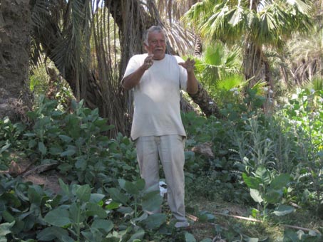 hombre hablando de los usos de yerba mansa