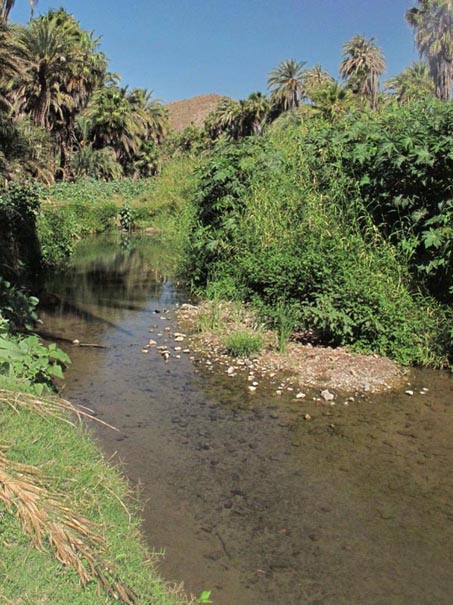 Rio Mulege