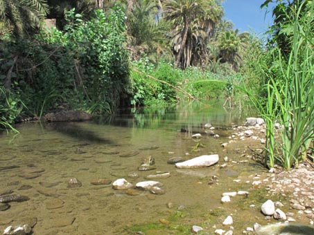 El fondo del rio sin fin