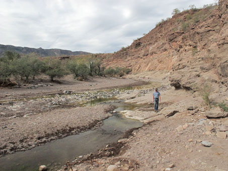 Arroyo San Patricio