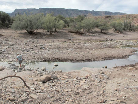 Arroyo San Patricio