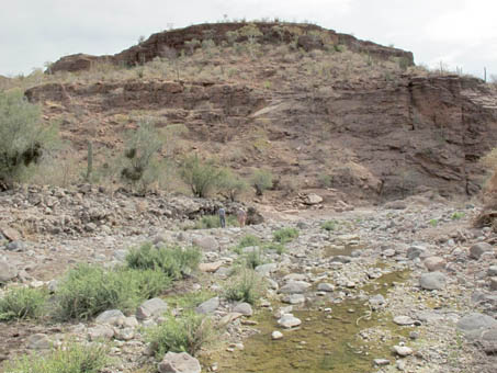 Arroyo San Patricio