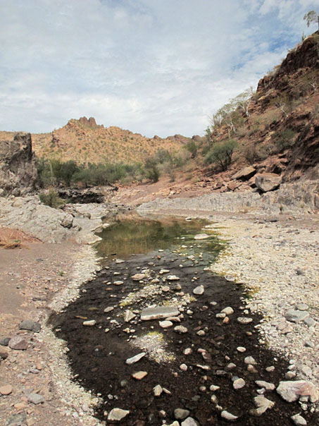 Pools in arroyo