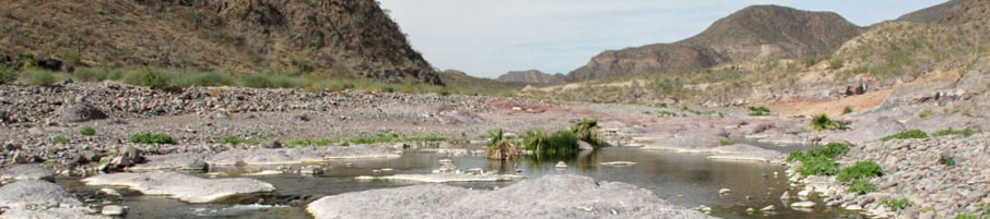 Panorama of Arroyo San Patricio