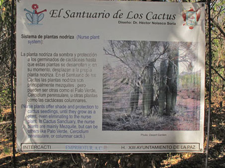 Letrero que explica el papel de las plantas nodrizas en el Santuario de los Cactos