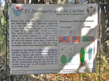 Letrero que explica el metabolismo CAM