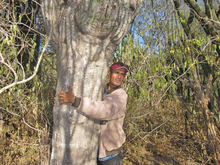 Guide hugging huge trunk of giant cactus