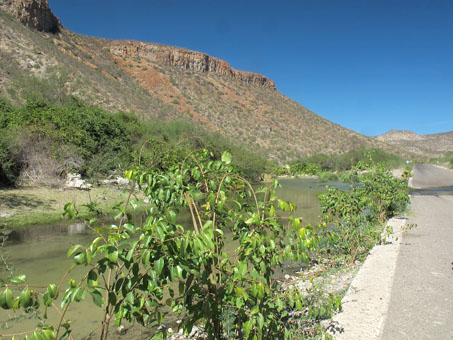 Water in arroyo