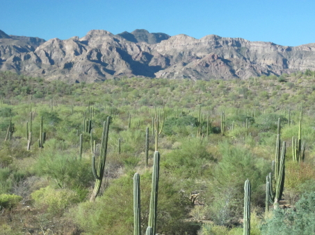 East flank Sierra la Giganta