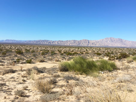 llano desértico cerca de San Felipe