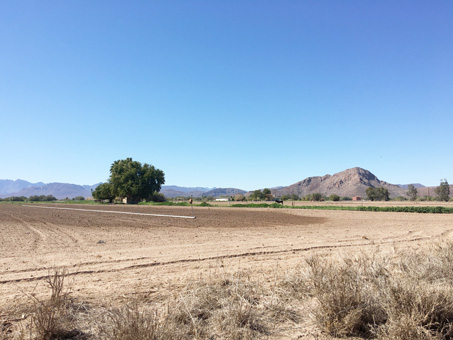 Newly plowed fields in Mulege valley