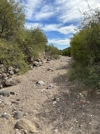 View downstream in the arroyo