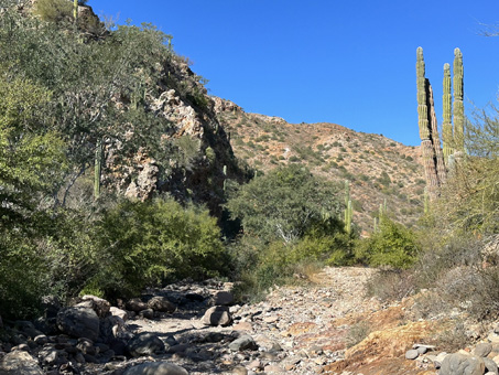 More rocky arroyo bed