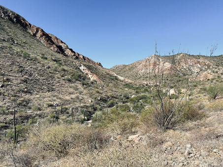 view down into the arroyo