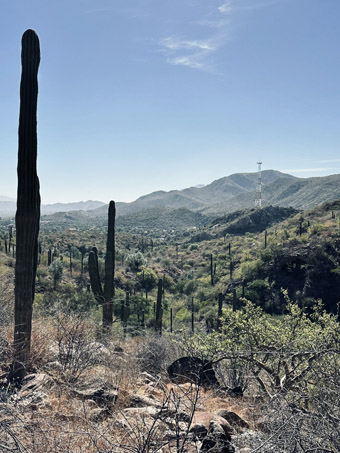 view down into the arroyo