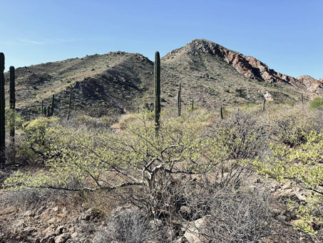 View of Cerro Rojo across the alluvial fan