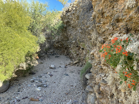 sedimentary alluvial deposit 