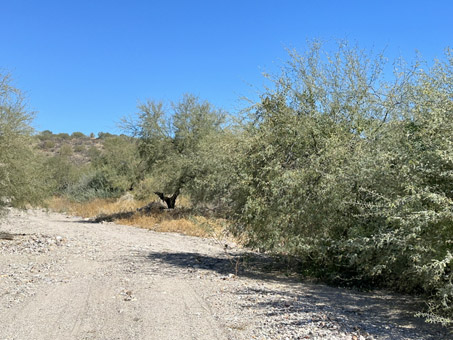 Beginning of the arroyo bed