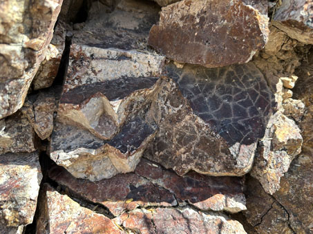 Cracked rocks of outcrop