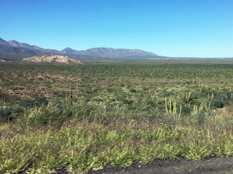 view near Tres Virgenes volcano