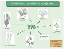 Link to PDF file with larger image of results of field work