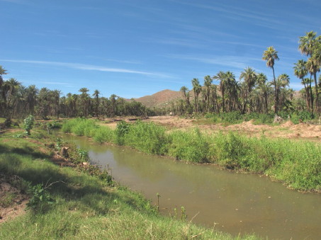 New wetland area overview