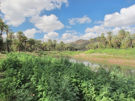 New wetland area overview