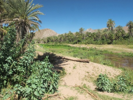 New wetland area overview