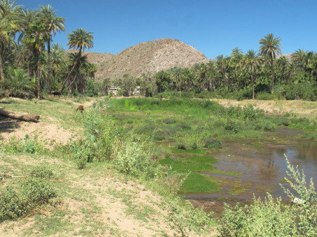 New wetland area overview