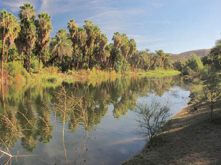 Mulege River