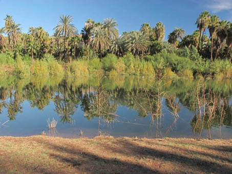 Mulege River