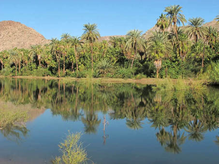 Mulege River