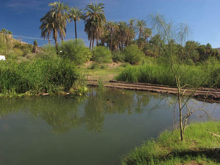 Mulege River