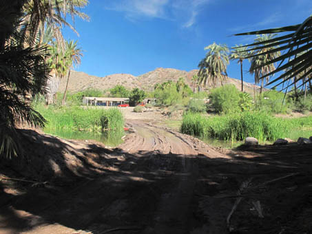 Mulege River