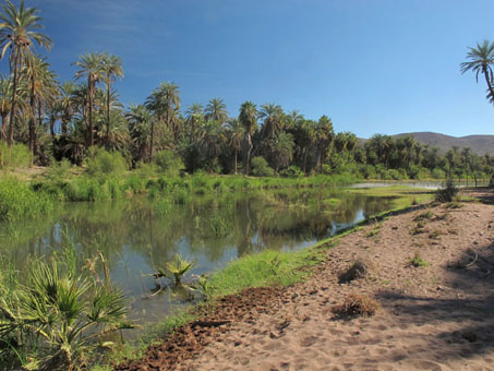 Mulege River