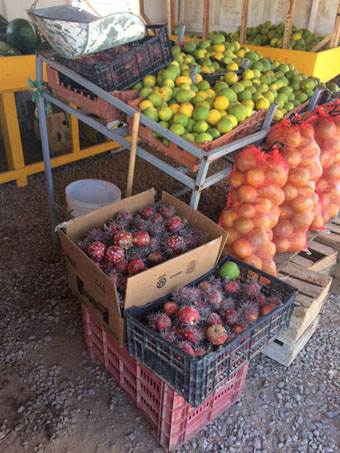 Local fruit on sale