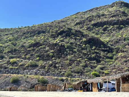 Green hillsides along Bahia Concepcion