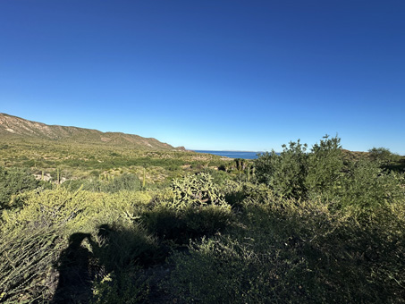 view of alluvial fan