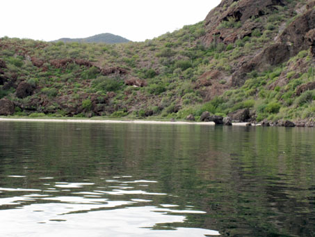 Ladera verde en Isla Coyote