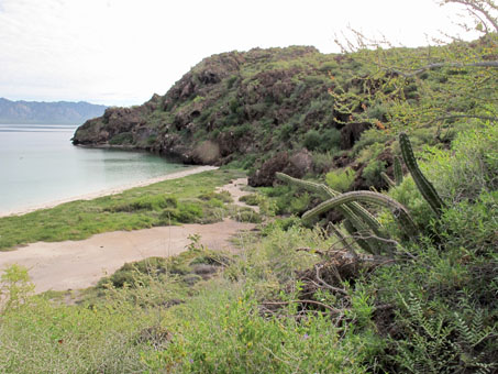 View of beach from the cliff on Isla Coyote