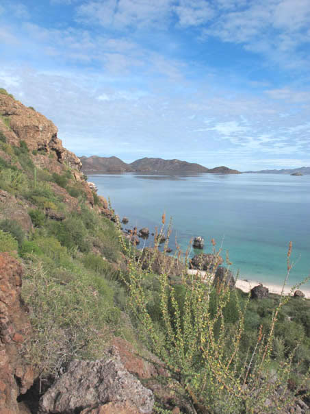 View of bay from cliff