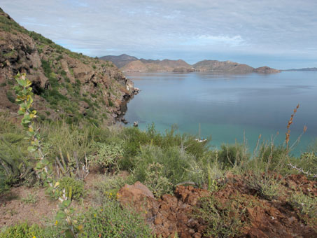 View from top of hill