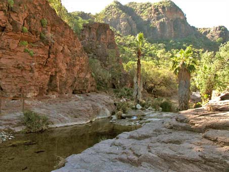 shady desert canyon