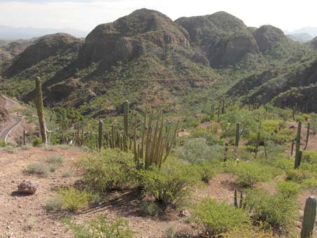 Canyon near Loreto