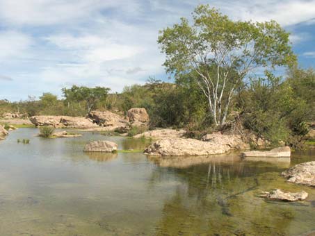 desert watering hole