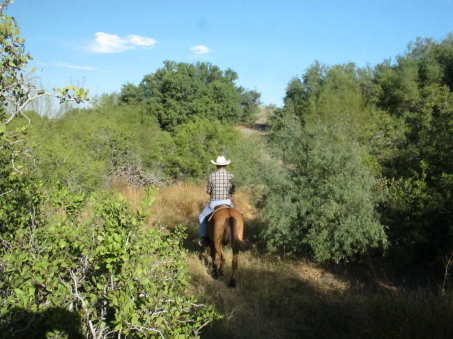 Getting close to the dunes