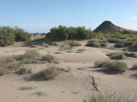 Las dunas