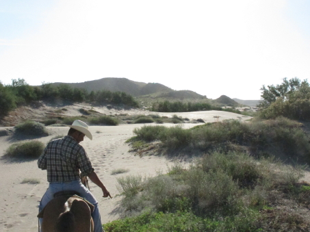 the dunes