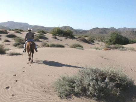 the dunes