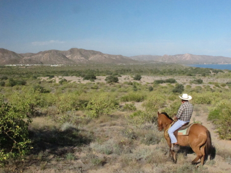 View across dunes towards Mulege